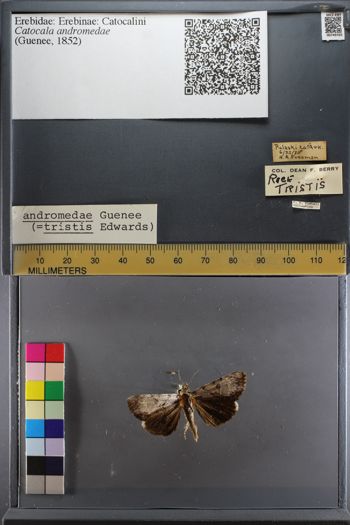 Media type: image;   Entomology 749765